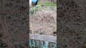 Первое видео