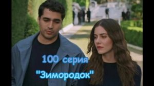 Подробный обзор турецкого сериала "Зимородок" 100 серия
