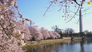 12 Рукотворных чудес, которые обязательно нужно увидеть в США | Величайшие чудеса США