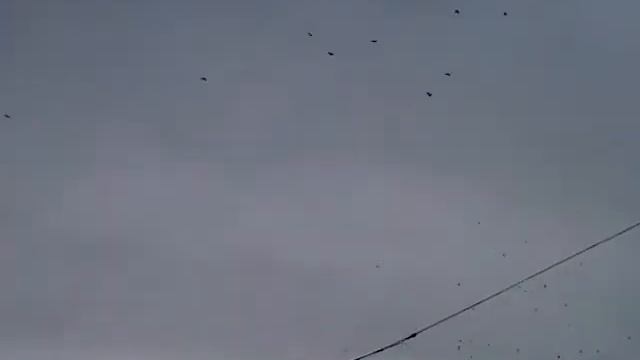 вороны 2 смотреть онлайн