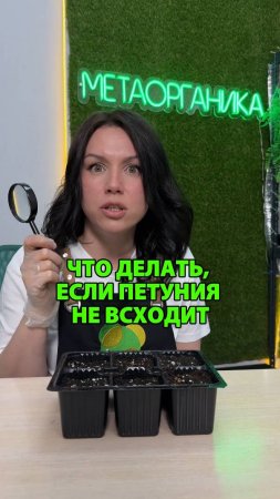Что делать, если петуния не всходит