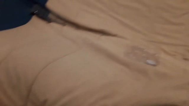 Дикий скритчер Найтбайт