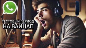 Тестовый период на вайцапе
