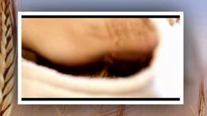 Чому я обрав професію "Тракторист-машиніст сільськогосподарського виробництва". Чаплинський ліцей.