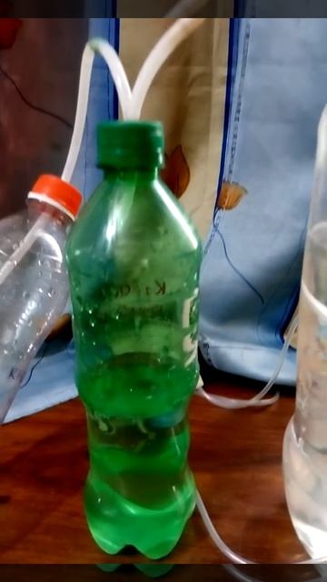 DIY CO2 Generator with baking soda and citric acid смотреть онлайн