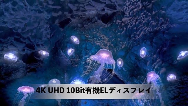 10.7億の色彩美に浸る。M1 Macタッチペン対応4K有機ELモバイルモニター смотреть онлайн