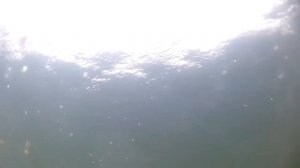 1000002410.mp4