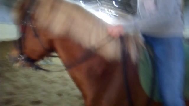 тренировка без седла в КСК "Высота" смотреть онлайн