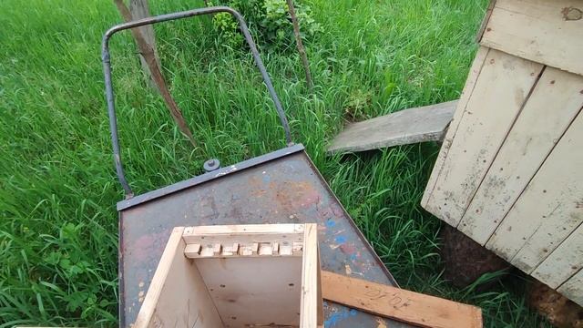 Из ловушки в улей. Как развились пчелы в ловушке смотреть онлайн