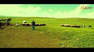 Rostame Sheko - Çiyayê me