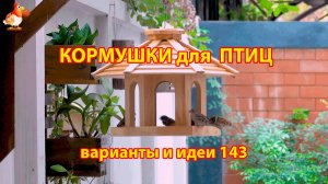 Кормушка для птиц своими руками как сделать пошагово  (143) 🪚🪛🔨 Идеи для дачи и сада❣️