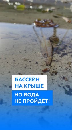 Бассейн на крыше. Но вода не пройдёт!