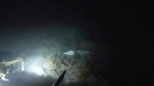 Подводная охота. Поиски карпа в камышах