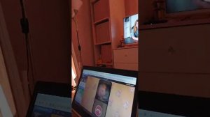 Котоворлд