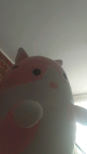 кот батон
