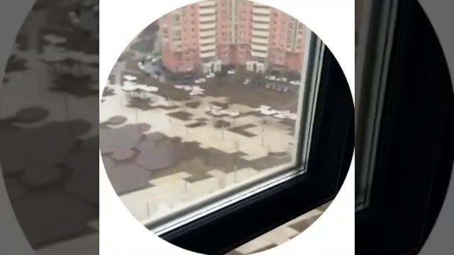 video (10)