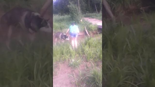 #природа😸кидаем камушки в речку. Блеск!? смотреть онлайн