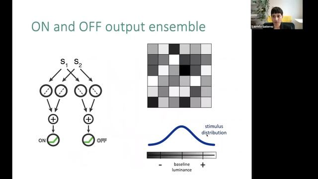 The smart image compression algorithm in the retina....| Gabrielle Gutierrez Columbia University