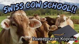 Канадская семья в НН.. Amazing Opportunity for Education!/Получите свой диплом сегодня!