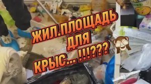 ЖИЛ.ПЛОЩАДЬ ДЛЯ КРЫС !??? ГВАРДИЯ УБИРАЕТ!