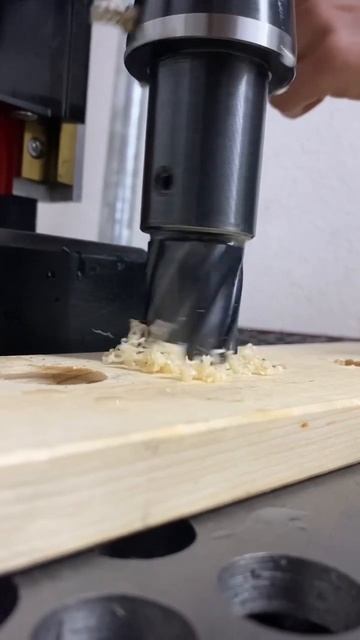 🔥 Core drill HSS-TiAlN with Weldon shank (3/4"), 30.0 mm. We have also tested it in wood 😉 #shorts