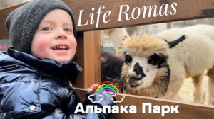Влог. Альпака Парк, изучай животных вместе с нами! Кролики, Козочки и Альпаки.
