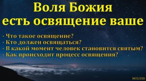 Когда в последний раз вас видели святым? А. В. Некрасов. МСЦ ЕХБ