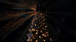 13364646_3840_2160_50fps