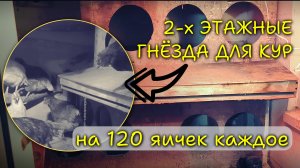Построил курятник с двухэтажными гнёздами для повышения яйценоскости: курятник на даче