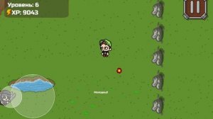 бруно и арешнев