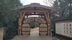 Новый Свет. Можжевеловая роща