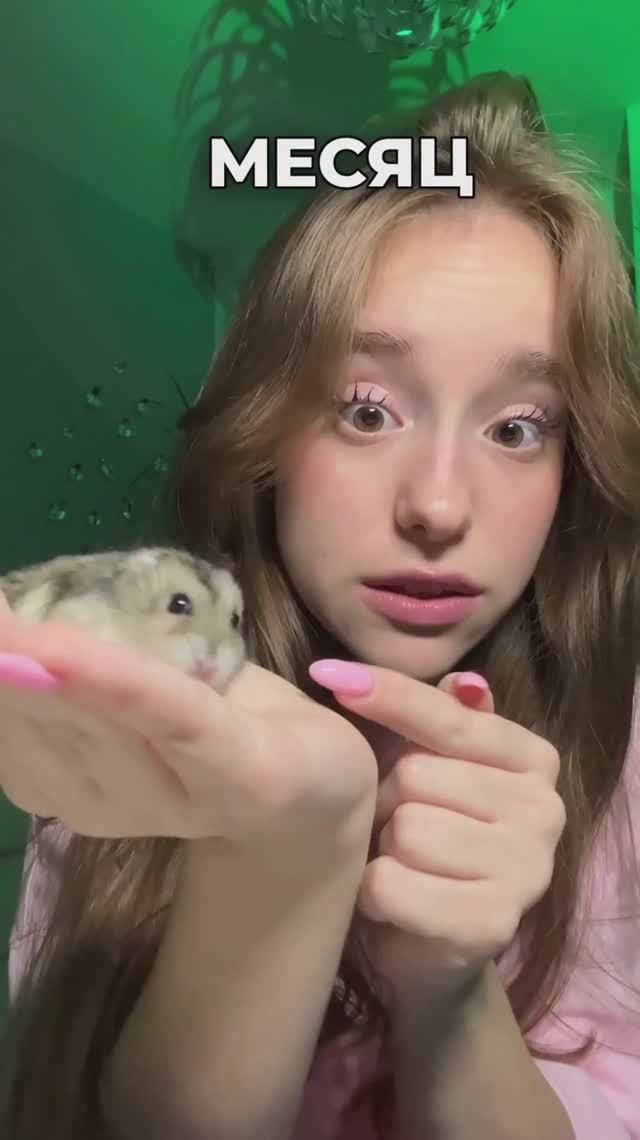помогите с хомяком 🥺