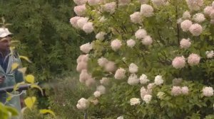 Завтра не умрет никогда. Документальный сериал. Почвы под угрозой