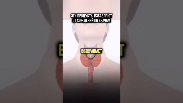 Продукты, которые заменяют таблетки