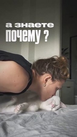 Почему люди имеющие кошек живут дольше на 10 лет....