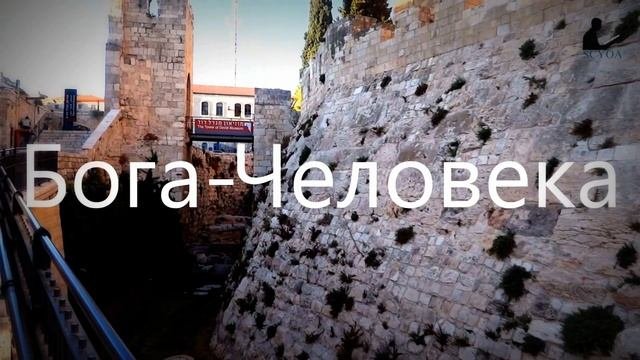 Духовная и плотская жизнь
