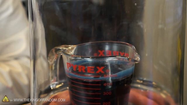 Wax PokeBalls & More Trypophobia Reactions in a Vacuum Chamber | TKOR How To Make Pokeball Mold