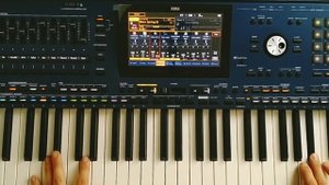 Instrumental Music Relaxing  Korg Pa5x