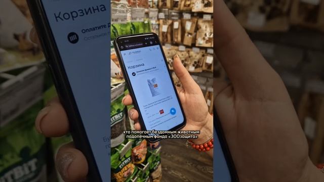 Помочь нашим подопечным, не вставая с дивана легко!