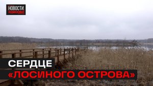 Туристический сезон открыт в нацпарке «Лосиный остров»