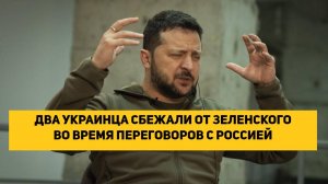 ДВА УКРАИНЦА СБЕЖАЛИ ОТ ЗЕЛЕНСКОГО ВО ВРЕМЯ ПЕРЕГОВОРОВ С РОССИЕЙ