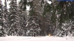 Охотничий билет можно получить в МФЦ