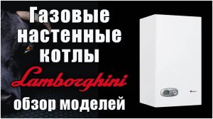 Настенные газовые котлы Lamborghini. Запускаются даже при замерзшем дымоходе.