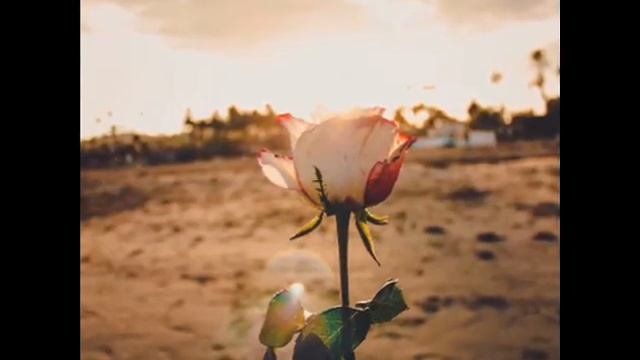 ★MUSIC➠youtube❤️ Музыка Ютуба Фонетика смотреть онлайн