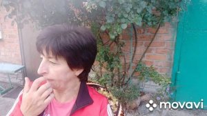 Влог//Устала от дороги//утром на даче//НАТАЛИЯ БОС