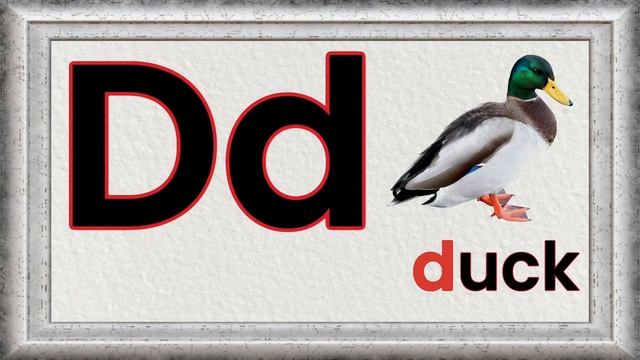 Dd Letter (ABC) - The Alphabet  // Phonics
