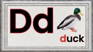 Dd Letter (ABC) - The Alphabet // Phonics