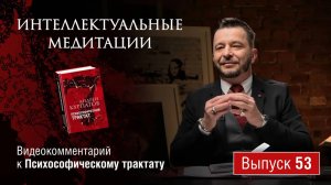 Интеллектуальные медитации. Видеокомментарий к Психософическому трактату: выпуск 53