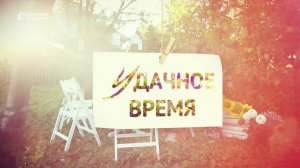 Удачное время. Обрезка. Выпуск от 26 марта 2025 года