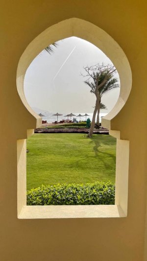 Отель "Charmillion Club Resort" 5* (Египет, Шарм-эль-Шейх)